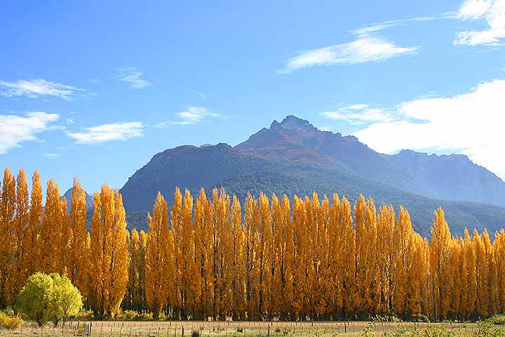 Epuyén: Temporada  2024 - Comarca de los Andes - Chubut